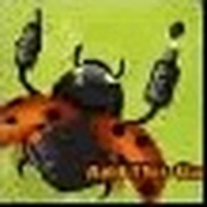 Robo Bug Puzzle Quest