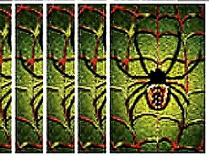 Spider Solitaire Classic Card Game