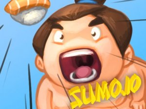 Sumo Challenge IO