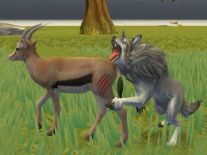 Wolf Life Simulator Online Game