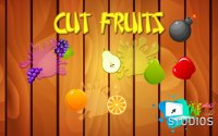 Cut Fruits - Slice & Splash Game