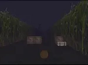 Harvest Maze: Pumpkin Roll