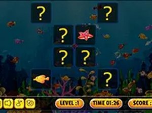 Fish Cards Match Online Game